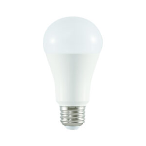 Bulbs